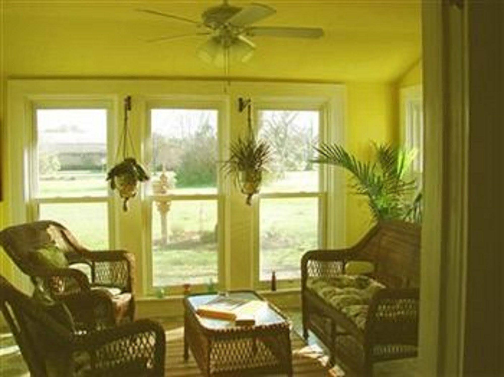 The Peaceful Pelican Llc Palacios Room photo